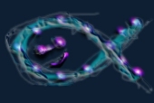 Flash Art